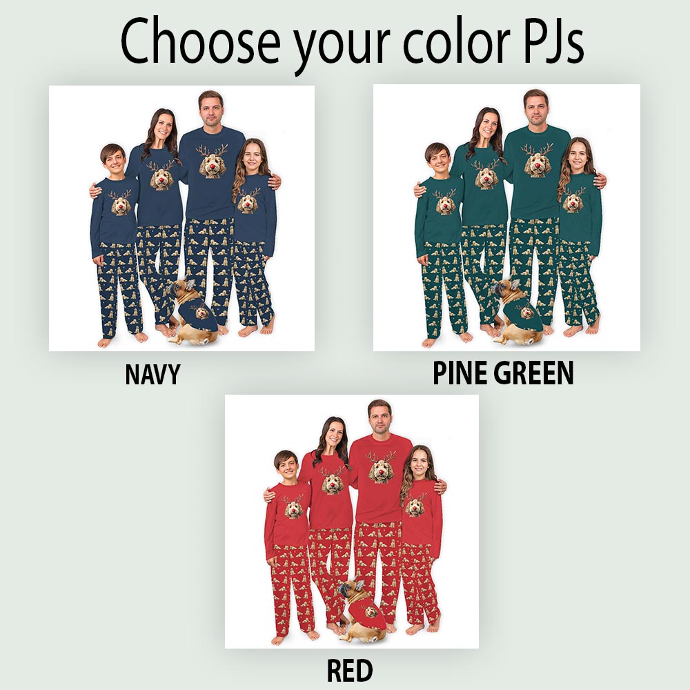 Cute Goldendoodle Long Sleeve Christmas Pajamas For Family
