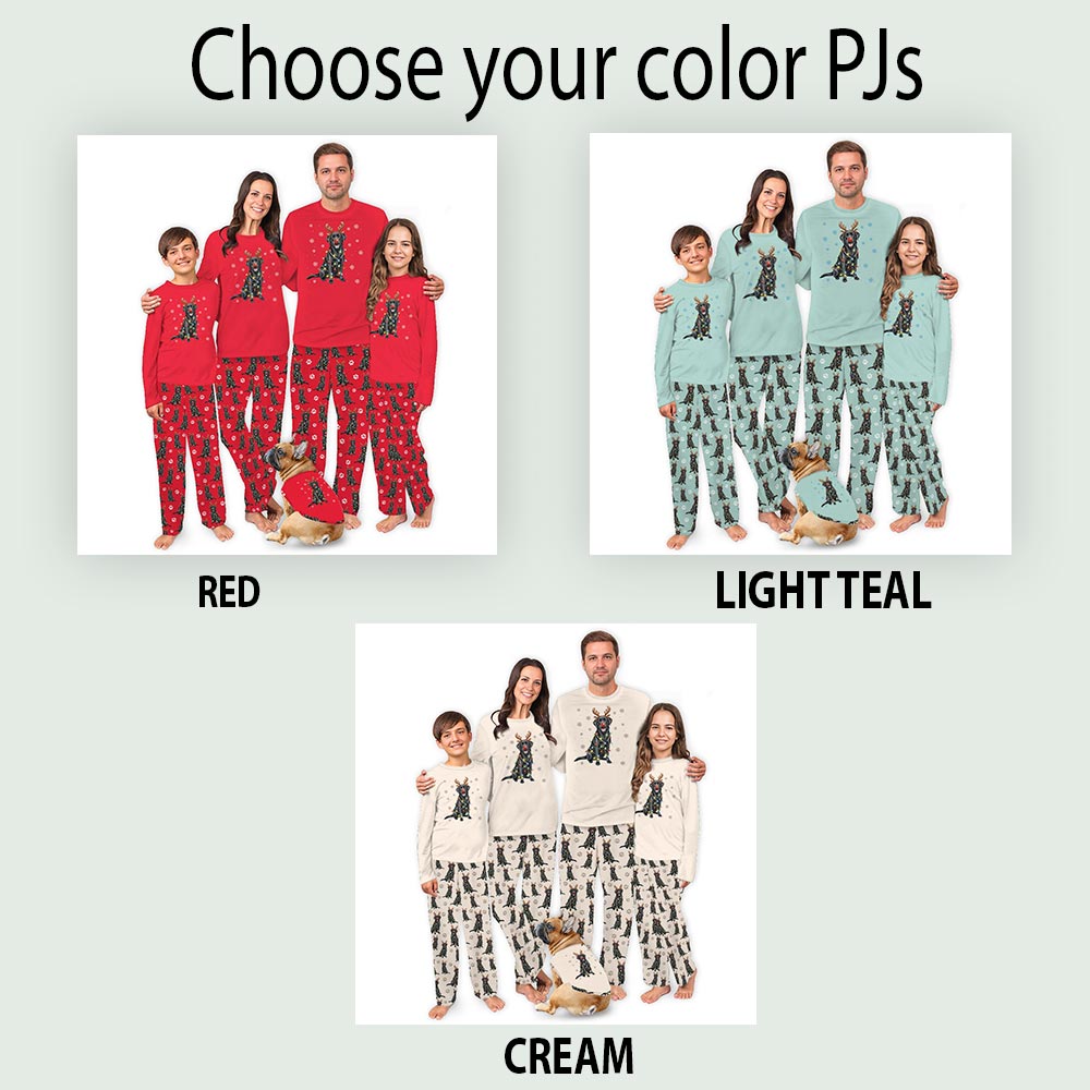 Adorable Labrador Retriever Dog And Family Christmas Pajamas