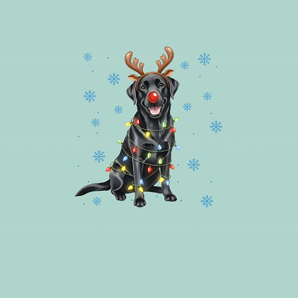 Adorable Labrador Retriever Dog And Family Christmas Pajamas