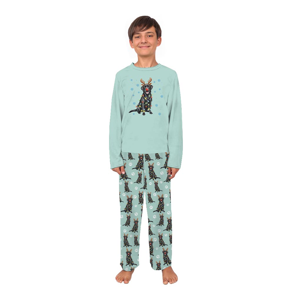 Adorable Labrador Retriever Dog And Family Christmas Pajamas