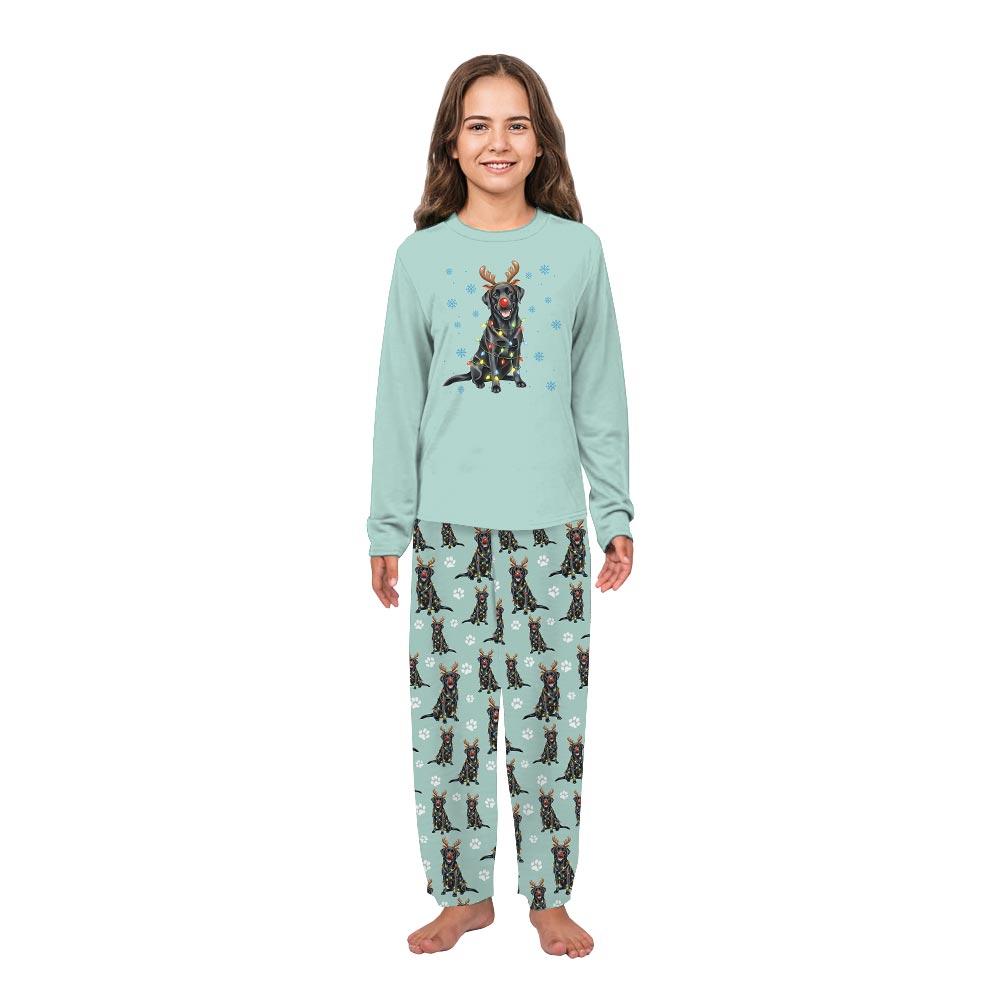Adorable Labrador Retriever Dog And Family Christmas Pajamas