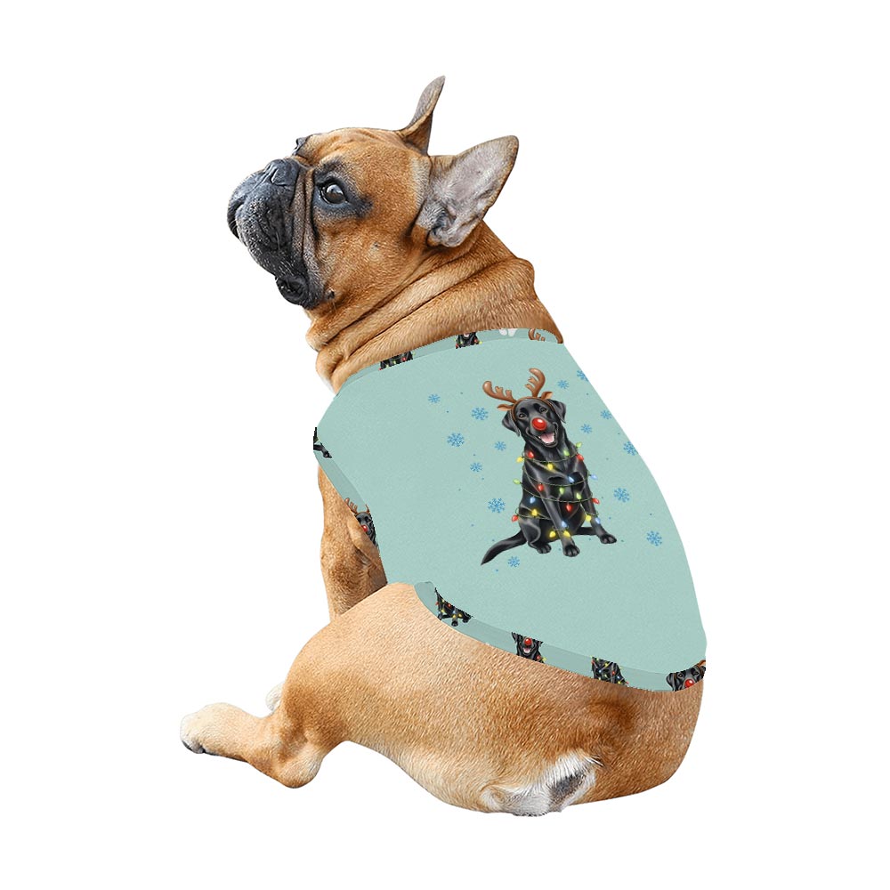 Adorable Labrador Retriever Dog And Family Christmas Pajamas