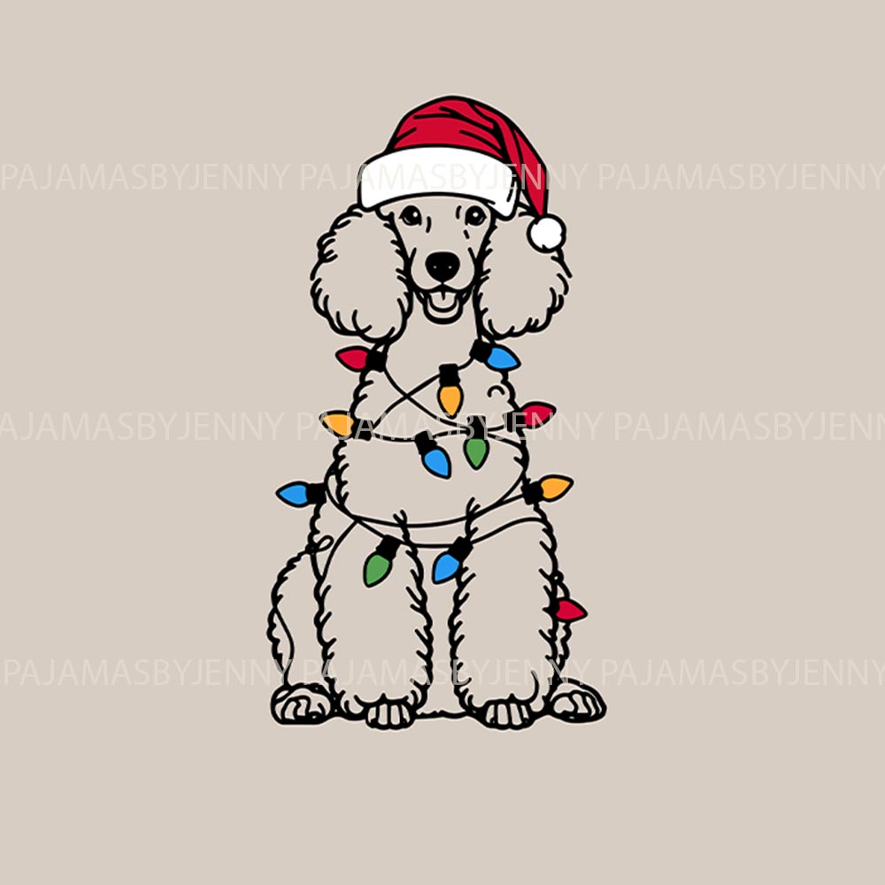 Cute Poodle with Xmas Light Matching Dog Owner Christmas Pajamas