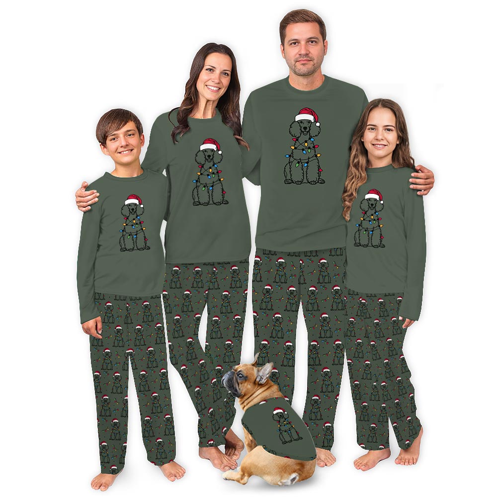 Cute Poodle with Xmas Light Matching Dog Owner Christmas Pajamas