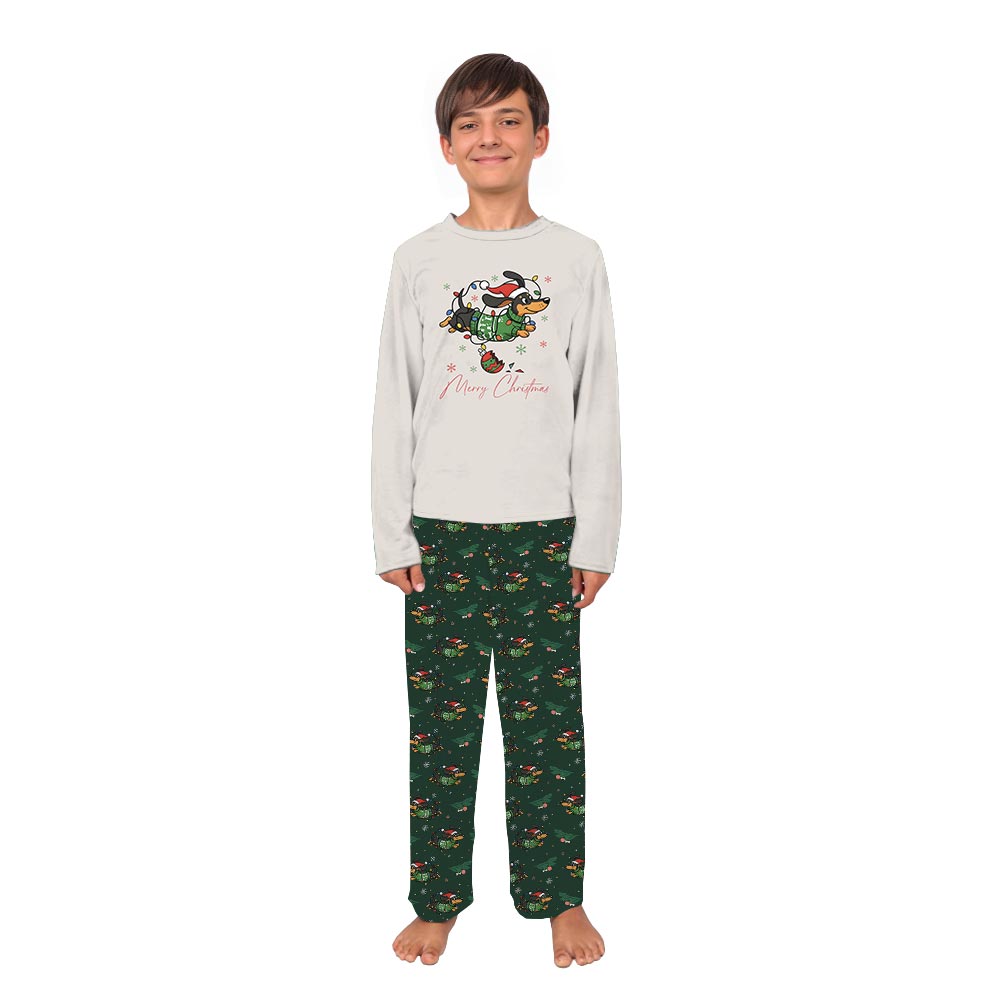 Merry Dachshund with Christmas Lights Matching Christmas PJs with Dog