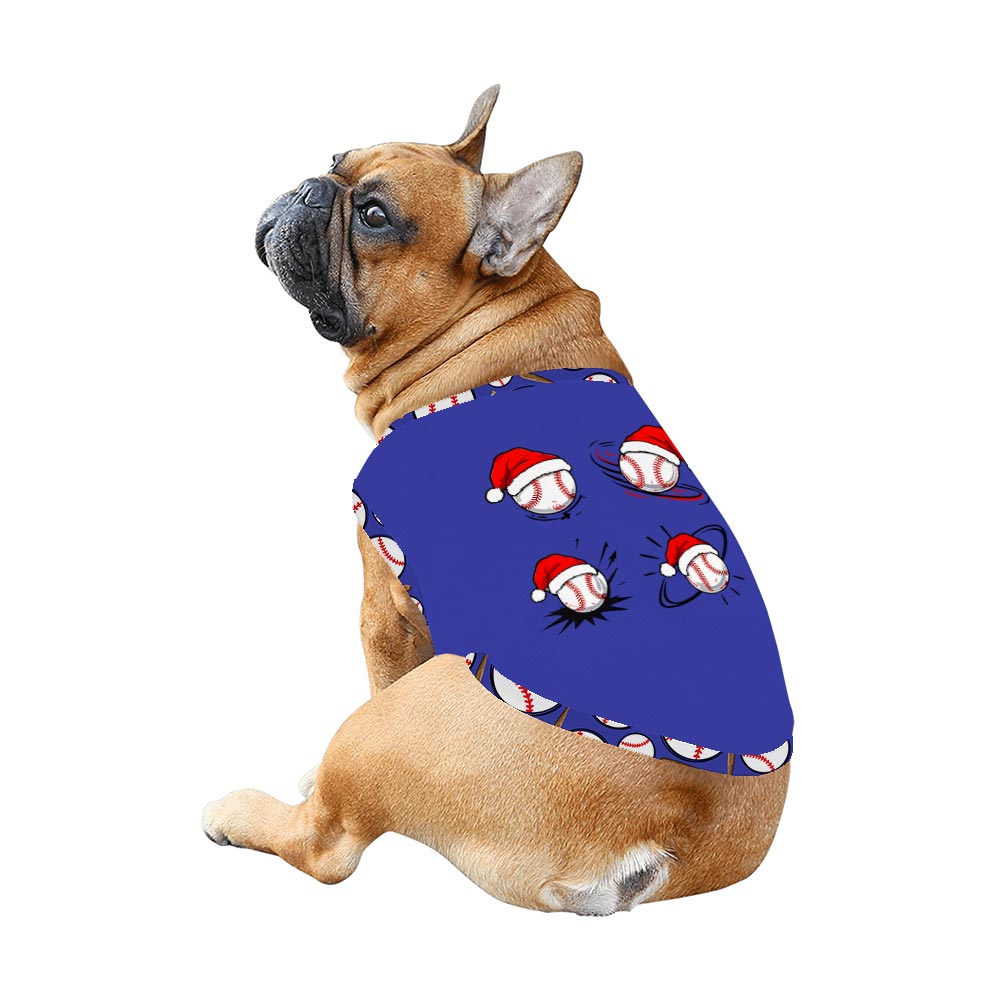 Baseball Wearing Santa Hats Matching Pajamas for Cat and Owner