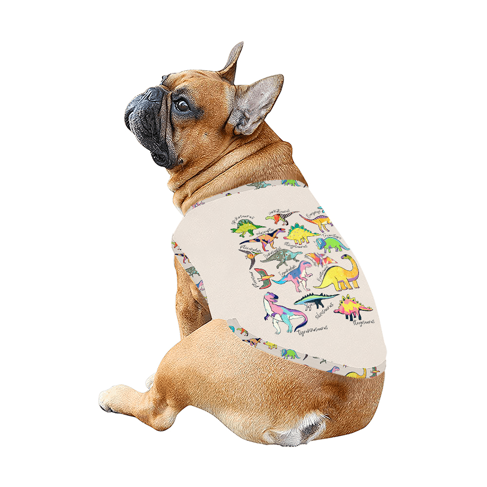 Funny Dinosaur Matching Christmas Pajamas And Dog