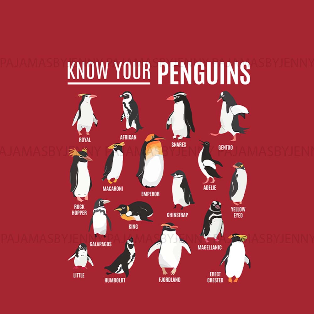Know Your Penguin Christmas Pajamas Family With Plus Size Know Your Penguin Christmas Pajamas Family With Plus Size