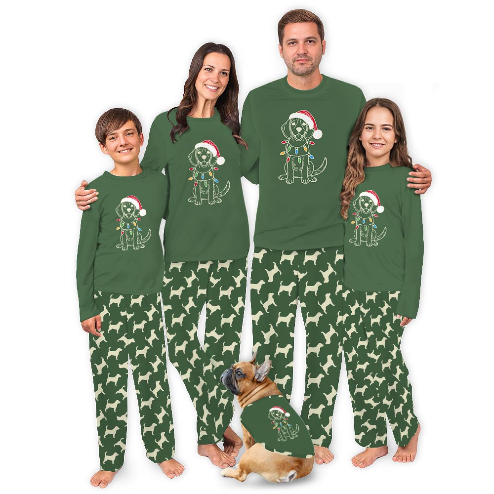 Beagle Dog with Christmas Light Family and Pet Matching Pajamas