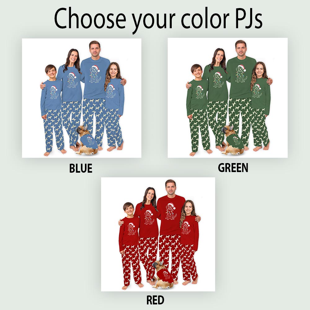 Beagle Dog with Christmas Light Family and Pet Matching Pajamas