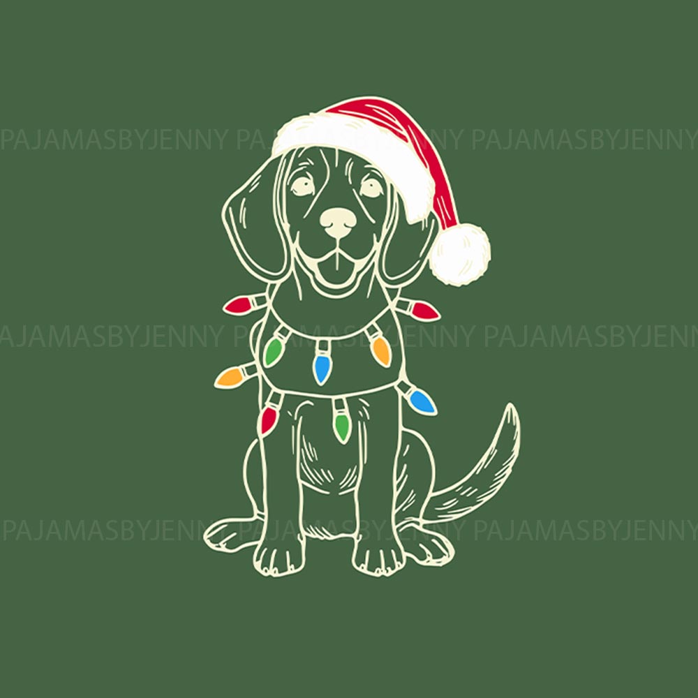 Beagle Dog with Christmas Light Family and Pet Matching Pajamas