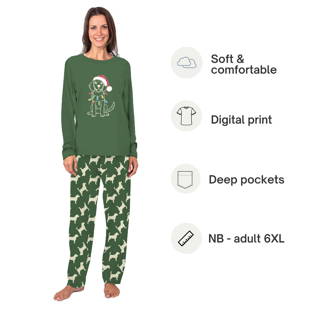 Beagle Dog with Christmas Light Family and Pet Matching Pajamas