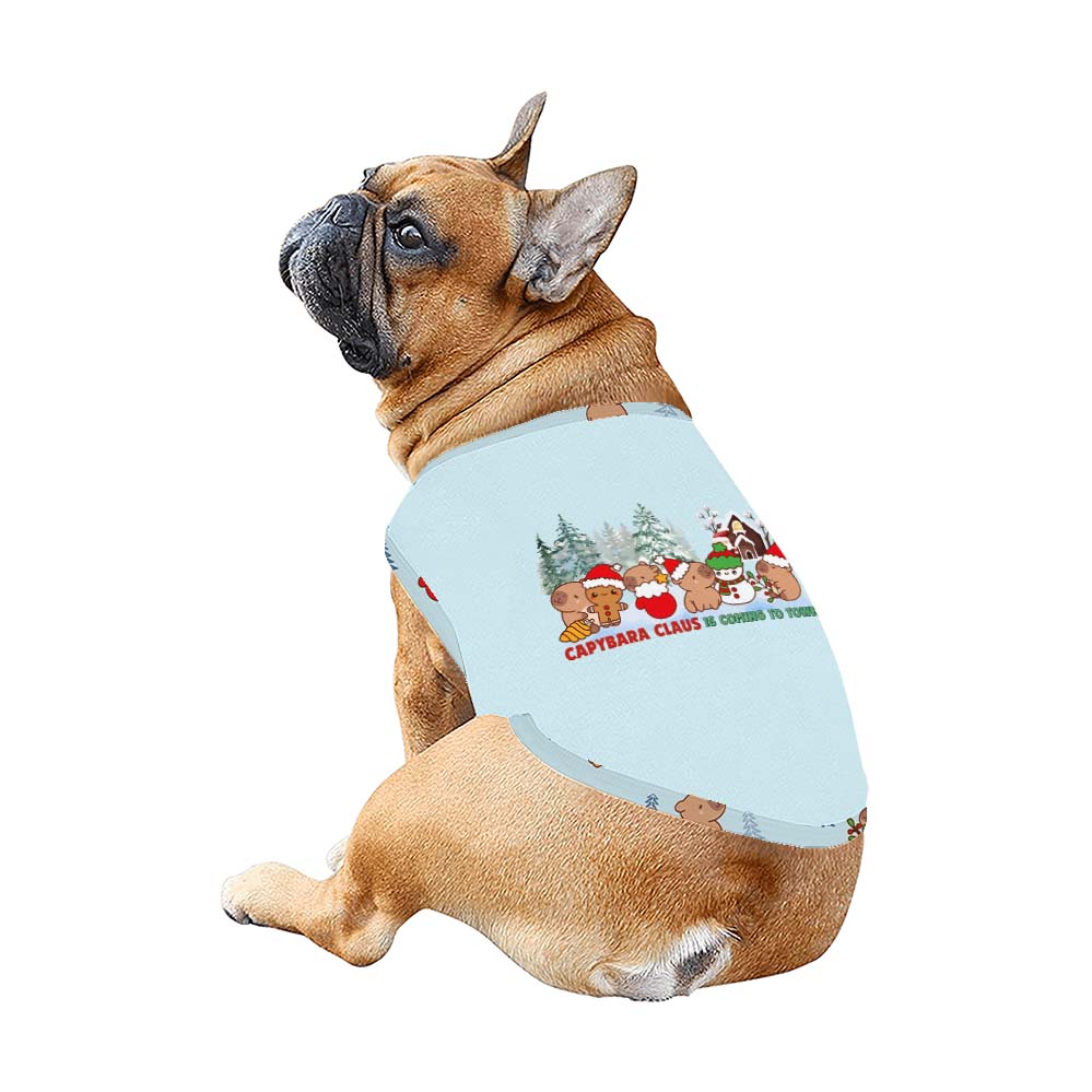 Cutest Family Christmas Pajamas With Capybara Claus Cutest Family Christmas Pajamas With Capybara Claus