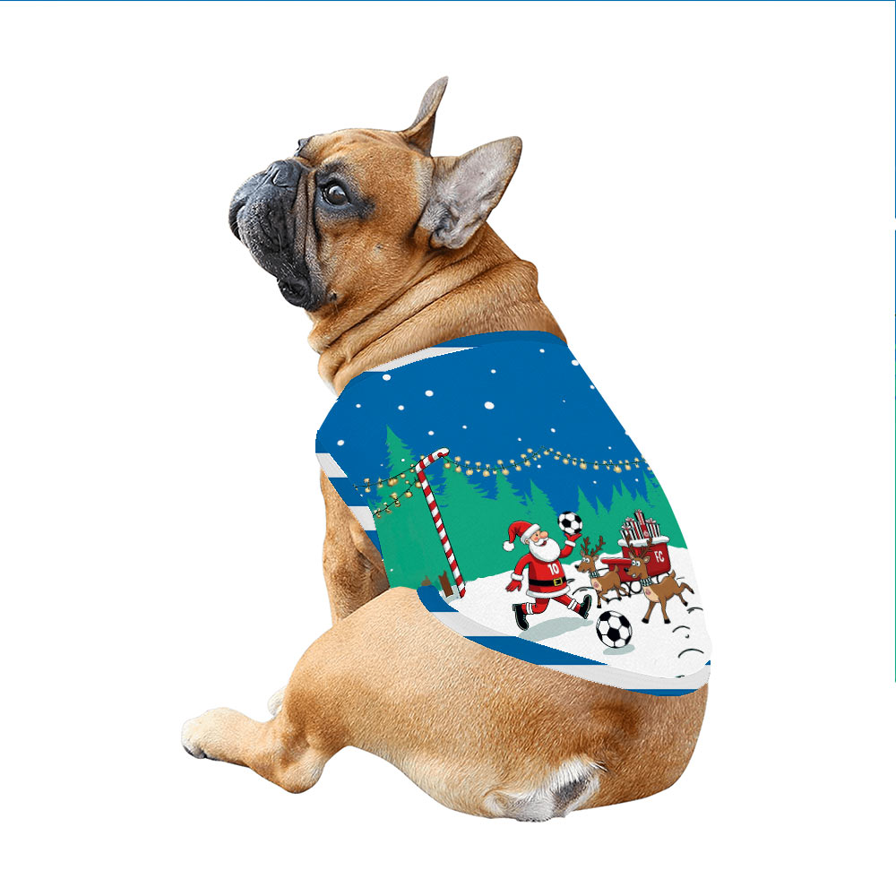 Funny Christmas Theme PJs For The Family And Dog