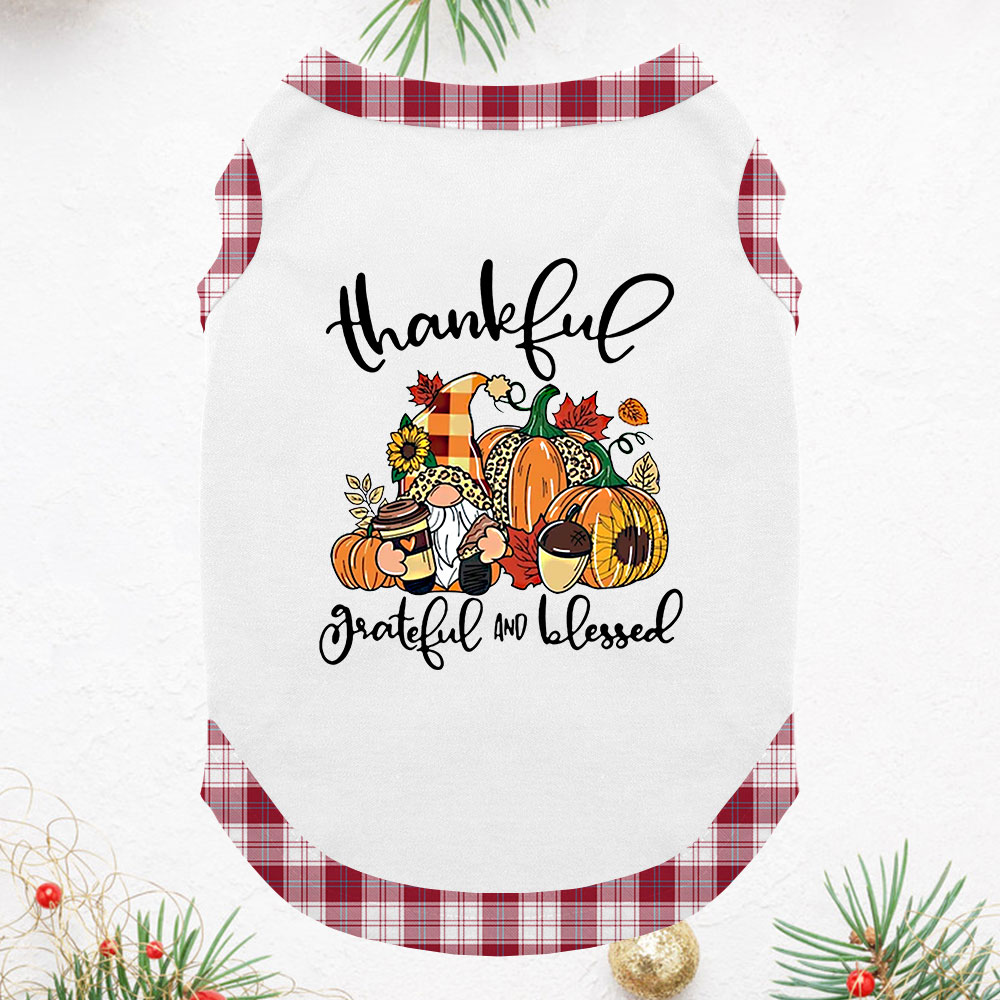 Thankful Matching Thanksgiving PJs Family With Newborn