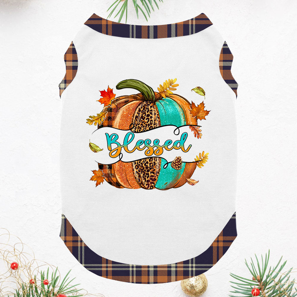 Blessed Pumpkin Thanksgiving PJs For Family With Plus Size