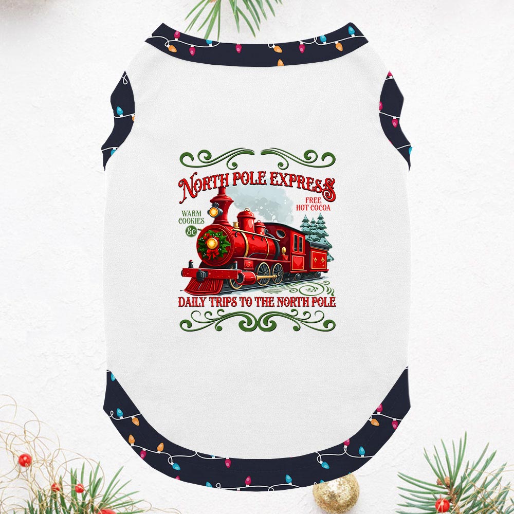 Festive Polar Express Train Jammies Matching Short Sleeves Festive Polar Express Train Jammies Matching Short Sleeves