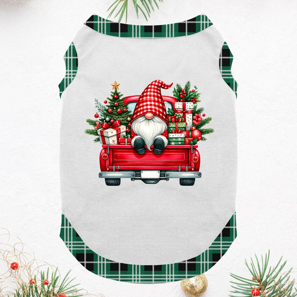 Cute Gnome Matching Family Pajama Sets Christmas