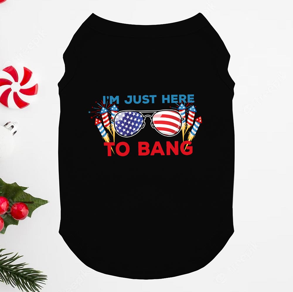 I'm Just Here To Bang 4th Of July Shirt